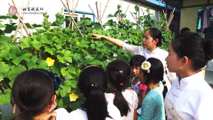
走進大自然，了解給予我們生命能量的蔬菜瓜果，從自然萬物中學習生活智慧。
