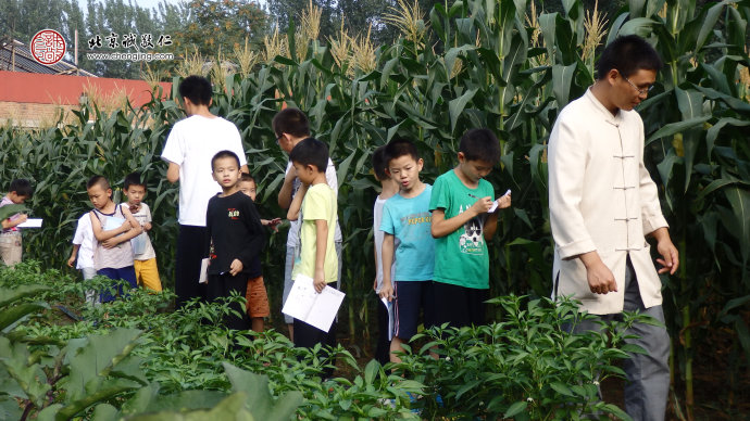 
玉米田里孩子們認真學習的身影