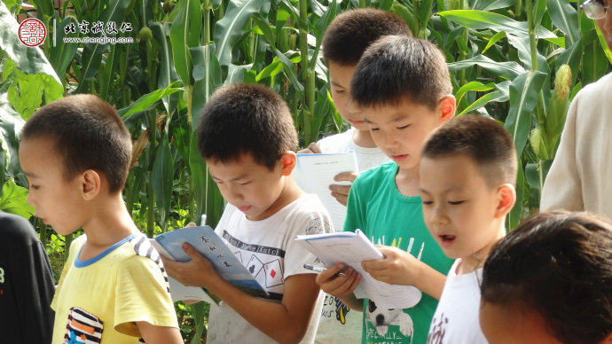 專注認真的神情是孩子們好學的精神