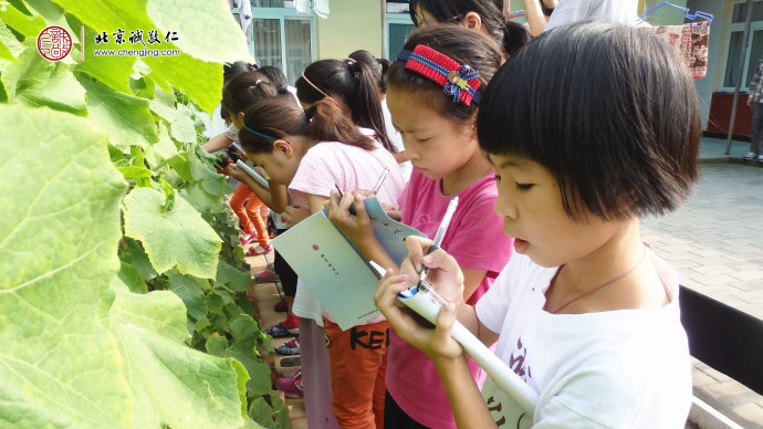專注的神情是孩子們好學的精神；記錄下今天學習的點點滴滴。