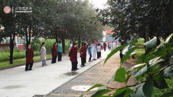 清晨陽光下，學員習練太極拳基本功