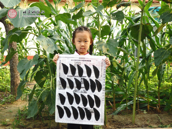 陳同學，6歲，老學員，書法習作展示