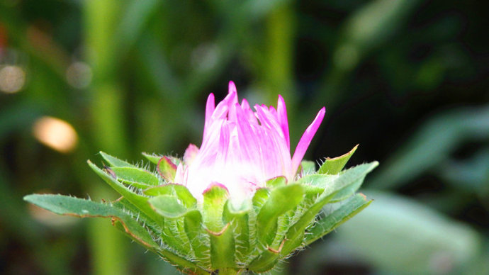 夏日涼風輕輕襲來，心中盛開最美的花朵。
每一天的成長進步，豈是獨自的啟航；
驀然回首，那指引我前進的力量，是父母老師永不疲倦的笑容。
生命在這歡樂幸福的土壤中滋養；
那昂然靈動的作品，更是點亮心燭的歡樂之作。
歡迎您，一起走進我們快樂的心靈天堂……