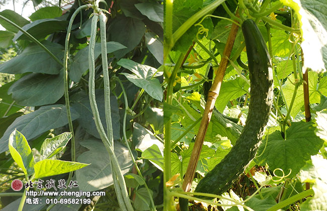 頒發(fā)十佳學(xué)員獎(jiǎng)