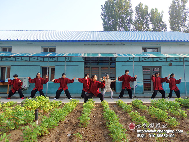 朗日的晴空下，迎著朝露，擺好架勢(shì)，呼吸著植物散發(fā)出最新鮮的氧氣。