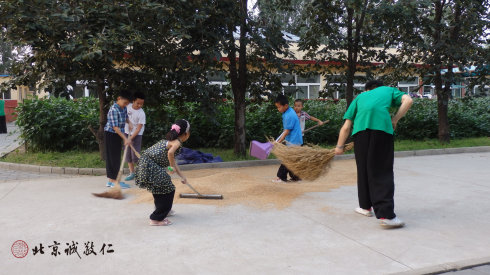 小學員參加勞動，體會農民伯伯的辛勞和一餐一粟來之不易。