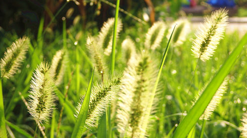 北京誠敬仁2014年暑期德藝書法篆刻培訓(xùn)班