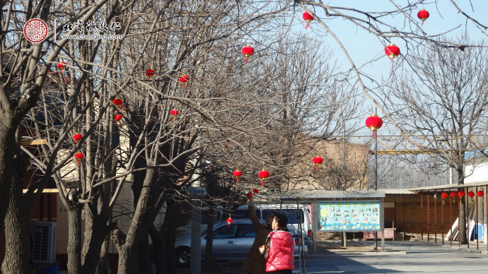 像是滿天的繁星，火紅的燈籠在陽光中熠熠生輝。
