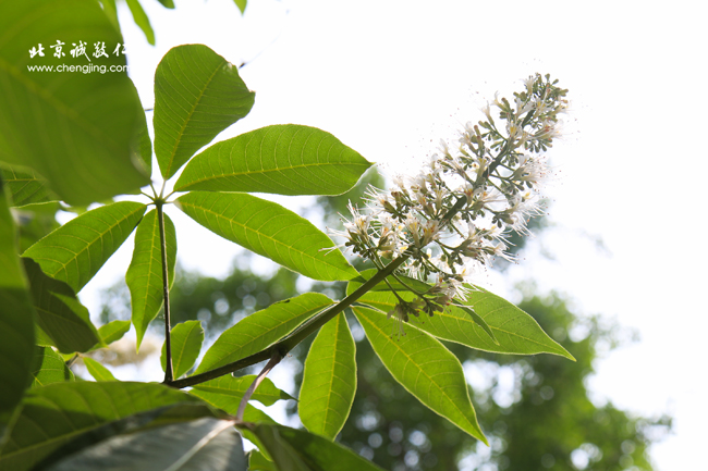 房山石經(jīng)探訪游學(xué)