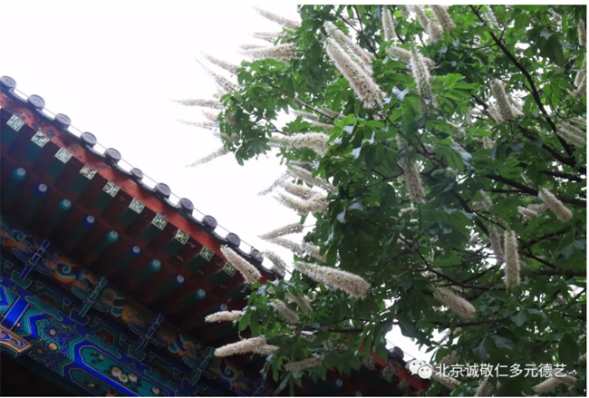 房山石經(jīng)探訪游學(xué)