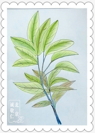 養(yǎng)老院的彩繪故事