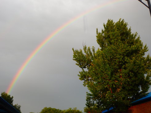 北京誠敬仁通州小院夏日即景
