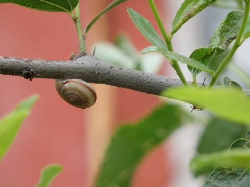 北京誠敬仁通州小院即景