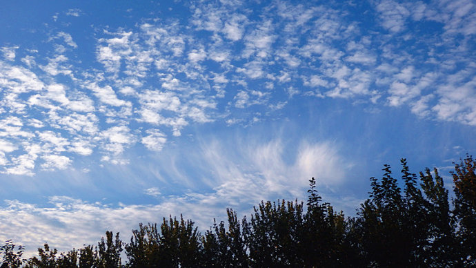 朵朵蓮蓬飛天宇，自有盛景西天來。