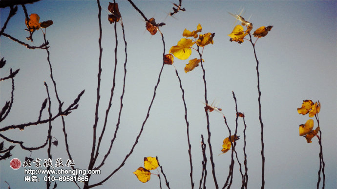 一抹落日的輝煌，一曲壯美的詩篇。