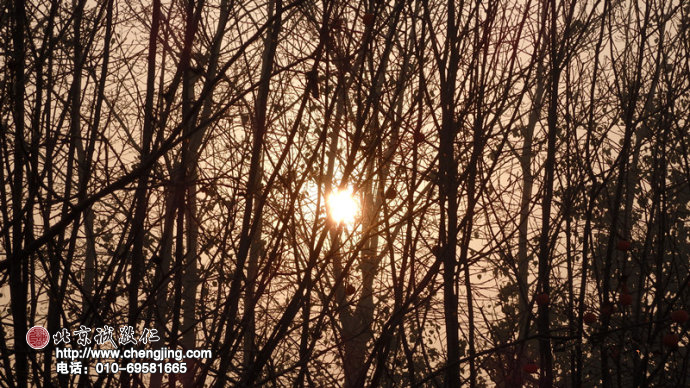 冬日暖陽，述說理不清的思緒；
熠熠光芒，伴隨走過歲月蹉跎。
