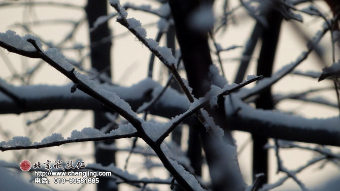 打開窗扉，時光駐足在這美好的時刻；