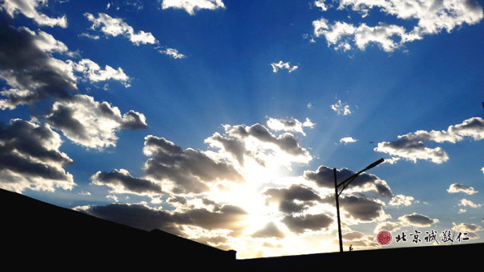 含苞的花蕾，待放的人生。