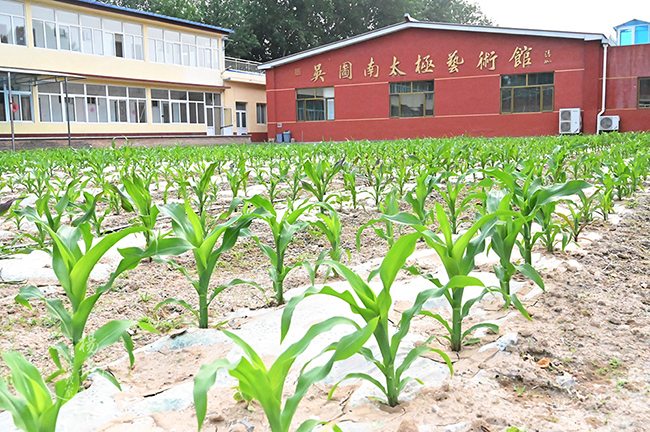 楊老師書(shū)法教室