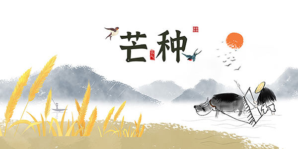 楊老師書法教室