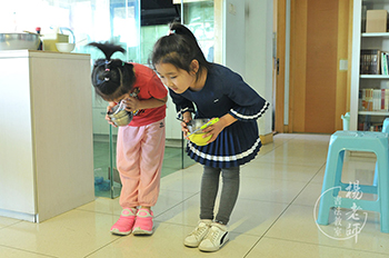 楊老師書法教室