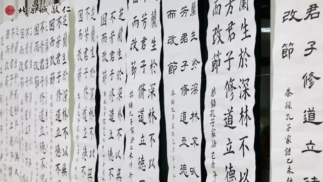 常青組比賽內容